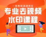 专业去视频水印教程 静态水印、动态水印、文字水印、图片水印一套教程通通搞定-八爪鱼资源库