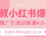 狼叔小红书爆款推广引流训练课4.0，手把手带你玩转小红书-八爪鱼资源库