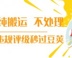 抖音纯搬运 不处理 小技巧,30秒发一个作品,避免违规评级秒过豆荚-八爪鱼资源库