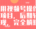 视频号操作书单变现项目，后期轻松变现，完全躺赚日入300至500元-八爪鱼资源库