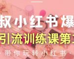 狼叔小红书爆款推广引流训练课第12期，手把手带你玩转小红书-八爪鱼资源库