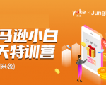 雨课·亚马逊小白特训营第9期 跨境电商挺赚钱的 有朋友已经月入几十万美金-八爪鱼资源库