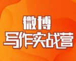 村西边老王·微博超级写作实战营，帮助你粉丝猛涨价值999元-八爪鱼资源库