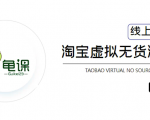 龟课·淘宝虚拟无货源电商5期，全程直播 现场实操，一步步教你轻松实现躺赚-八爪鱼资源库