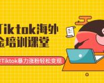 最新Tiktok海外掘金培训课堂：带你玩转Tiktok暴力涨粉轻松变现-八爪鱼资源库