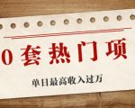 30套热门项目：单日最高收入过万 (网赚项目、朋友圈、涨粉套路、抖音、快手)等-八爪鱼资源库