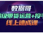 数据哥·超级带货运营+投手线上速成课,快速提升运营和熟悉学会投手技巧-八爪鱼资源库