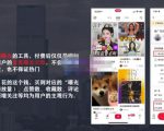 麦子互娱短视频带货·0基础做好物分享账号,无需出镜无需货源无需拍摄-八爪鱼资源库