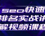 seo快速排名实战讲解视频课程,揭秘seo快排原理-八爪鱼资源库