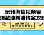 玩转微信视频号爆款涨粉赚钱全攻略,快速涨粉百万变现万元秘诀-八爪鱼资源库
