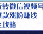 玩转微信视频号爆款涨粉赚钱全攻略，让你快速抓住流量风口，收获红利财富-八爪鱼资源库