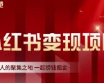 渣圈学苑·小红书虚拟资源变现项目，一起捞钱掘金价值1099元-八爪鱼资源库