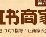 贾真-小红书商家营第6期商家版，21天带货陪跑课，让商家丢掉付流量-八爪鱼资源库