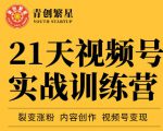 张萌21天视频号实战训练营，裂变涨粉、内容创作、视频号变现 价值298元-八爪鱼资源库