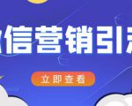 微信营销策划引流系列课程,每天引流100精准粉-八爪鱼资源库
