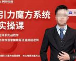阿呆-引力魔方系统实操课,全体系实战教学,助你快速掌握推荐流量底层逻辑-八爪鱼资源库