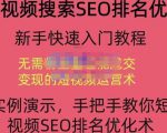 宋老师·短视频搜索SEO优化,教你10分钟创作一个短视频,三天排名上第一-八爪鱼资源库