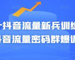 Peter抖音流量新兵训练营-破解抖音流量密码群爆训练营（新兵）-八爪鱼资源库