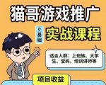 猫哥·游戏推广实战课程，单视频收益达6位数，从0到1成为优质游戏达人-八爪鱼资源库