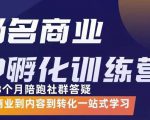 杨名商业IP孵化训练营，从商业到内容到转化一站式学 价值5980元-八爪鱼资源库