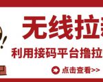 最新接码无限拉新项目，利用接码平台赚拉新平台差价，轻松日赚500+-八爪鱼资源库