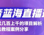 抖音最新蓝海直播玩法，3分钟赚30元，一天轻松1000+，只要你去直播就行【详细玩法教程】-八爪鱼资源库