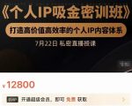 个人IP吸金密训班,打造高价值高效率的个人IP内容体系(价值12800元)-八爪鱼资源库