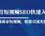 抖音短视频Seo搜索排名优化新手快速入门教程，实体商家短视频，精准引流实操课-八爪鱼资源库