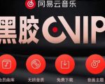 网易云音乐撸黑胶年卡及变现方法,收益可无限放大-八爪鱼资源库