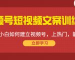 视频号短视频文案训练营：0基础小白如何建立视频号，上热门，能卖货！-八爪鱼资源库
