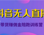 抖音无人直播带货赚佣金陪跑训练营(价值6980元)-八爪鱼资源库