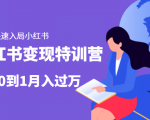 小红书变现特训营:带你快速入局小红书,从0到1月入过万-八爪鱼资源库