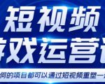 短视频游戏赚钱特训营，0门槛小白也可以操作，日入1000+-八爪鱼资源库