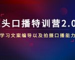 镜头口播特训营2.0版,学习文案编导以及拍摄口播能力(50节课时)-八爪鱼资源库