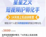 瑶瑶·自然流短视频IP孵化第二期,14天线上实战训练营,赋能100个人成为有数据能赚钱的独立IP孵化手-八爪鱼资源库