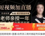 张越·短视频+直播，自然流三频共振起号实操课，​短视频所有流量玩法讲解-八爪鱼资源库