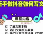 新手做抖音如何写文案,手把手实操如何拆解热门文案-八爪鱼资源库