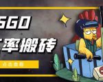 外面9800的CSGO汇率搬砖项目，一个月轻松赚几千【选品软件+详细教程】-八爪鱼资源库