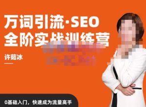 许茹冰·万词引流-SEO全阶实战训练营，0基础入门，快速成为流量高手-八爪鱼资源库