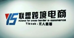 YS联盟·Tiktok无人直播,不出镜不剪辑不拍摄不发货无售后的跨境短视频躺赚玩法-八爪鱼资源库