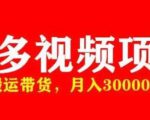 多多带货视频快速50爆款拿带货资格,搬运带货,月入30000【全套脚本+详细玩法】-八爪鱼资源库