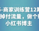 小红书-商家训练营12期:让商家丢掉付流量,做个赚钱的小红书博主-八爪鱼资源库