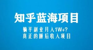 知乎蓝海玩法，躺平副业月入1W+，真正的睡后收入项目（6节视频课）-八爪鱼资源库