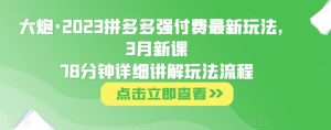 大炮·2023拼多多强付费最新玩法，3月新课​78分钟详细讲解玩法流程-八爪鱼资源库