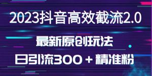 日引300＋创业粉，独家抖音高效截流2.0玩法（价值1280）-八爪鱼资源库