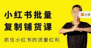 张宾·小红书批量复制铺货课,小红书0-1快速起号变现玩法,抓住小红书的流量红利(更新2023年3月)-八爪鱼资源库