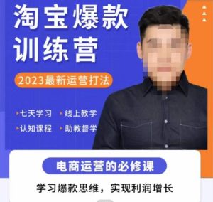 爱上黄昏·淘宝爆款训练营，2023最新运营打法，学习爆款思维，实现利润增长-八爪鱼资源库