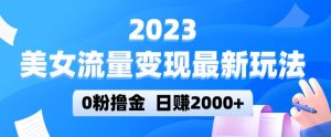 2023美女流量变现最新玩法,0粉撸金,日赚2000+,实测日引流300+-八爪鱼资源库