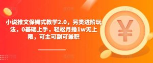 小说推文保姆式教学2.0，另类进阶玩法，0基础上手，轻松月撸1w无上限，可主可副可兼职-八爪鱼资源库