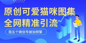 黑科技纯原创可爱猫咪图片，全网精准引流，实操5个VX号被加频繁-八爪鱼资源库